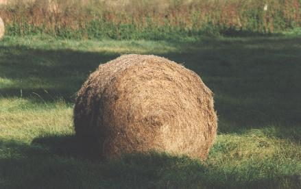 Giverny haystack