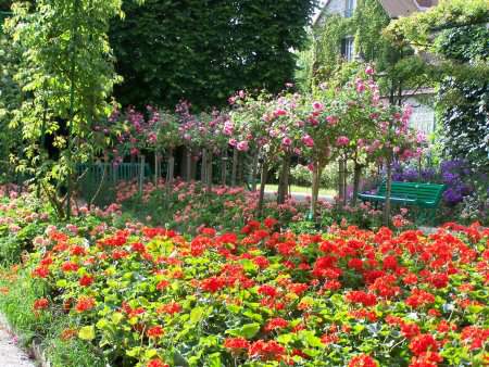 Giverny Claude Monet's Flower Garden - Photo Ariane Cauderlier