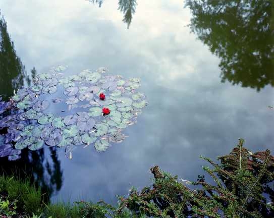 Stephen Shore Giverny 1983